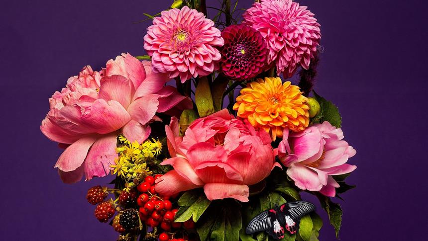 a bouquet of flowers